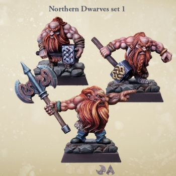 Northern Dwarves set 1